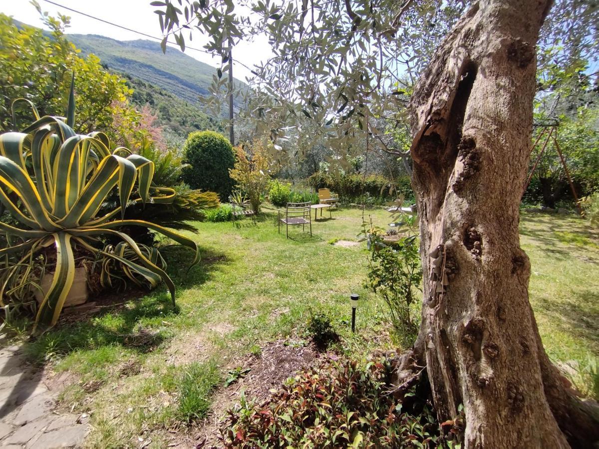 Ferienwohnung Casa Di Nin Torbole Sul Garda Exterior foto