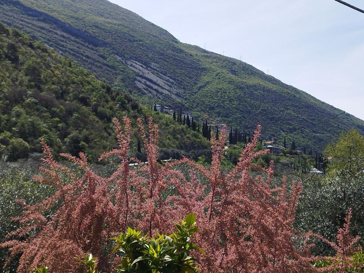 Ferienwohnung Casa Di Nin Torbole Sul Garda Exterior foto