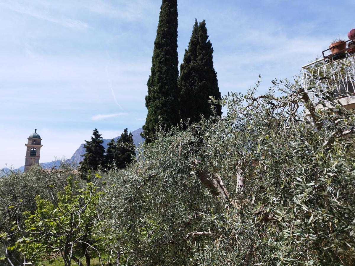 Ferienwohnung Casa Di Nin Torbole Sul Garda Exterior foto