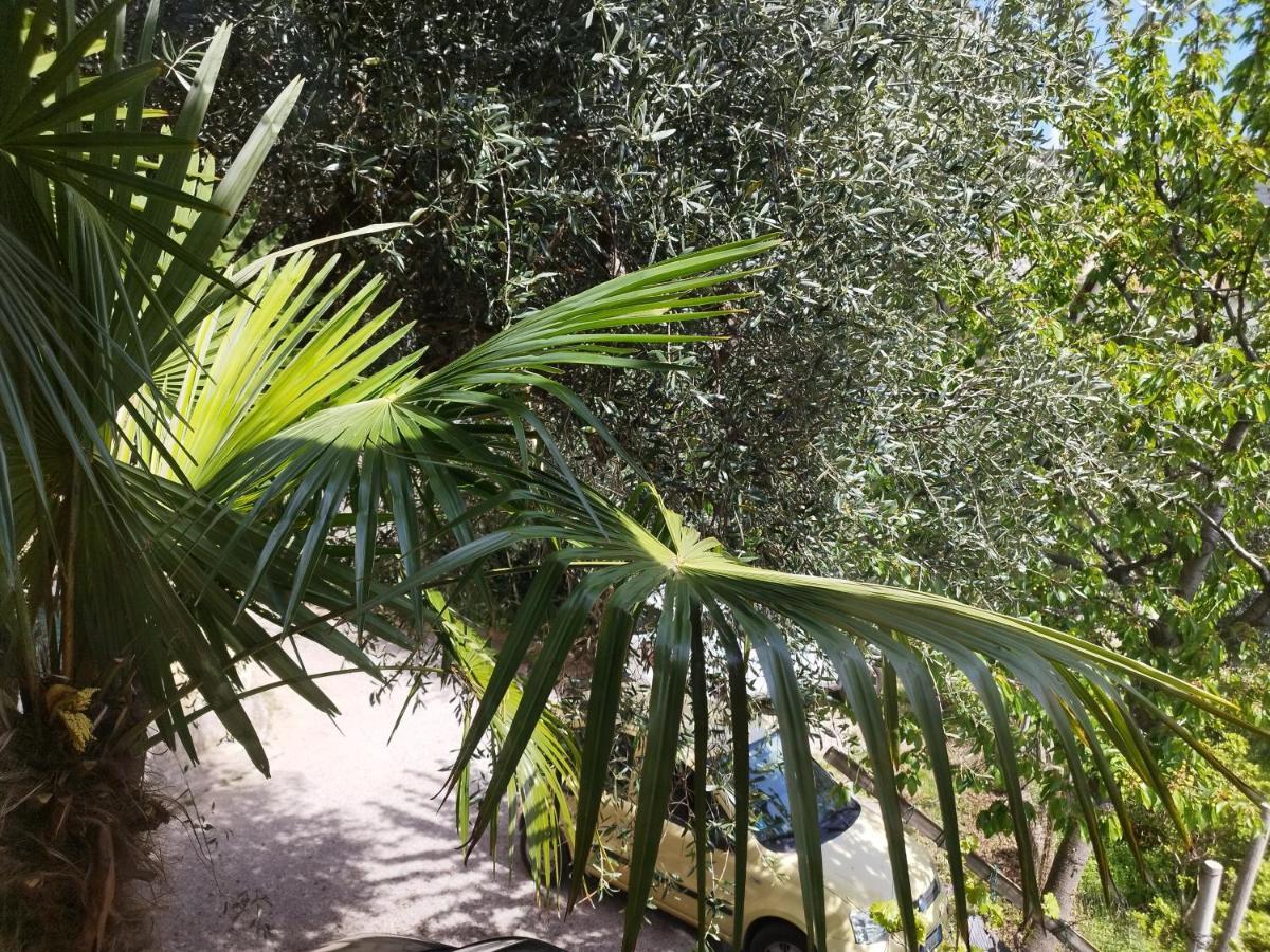 Ferienwohnung Casa Di Nin Torbole Sul Garda Exterior foto