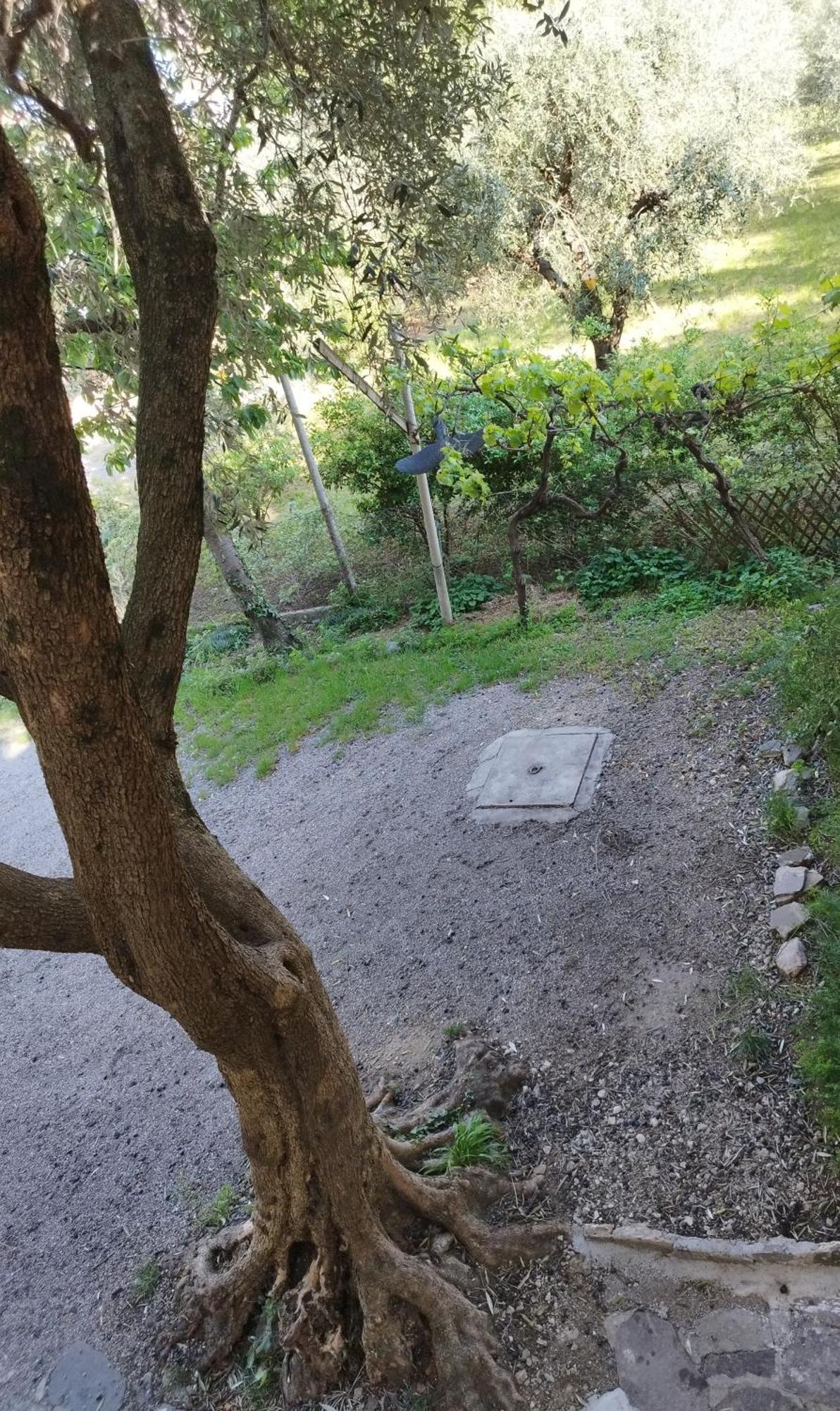 Ferienwohnung Casa Di Nin Torbole Sul Garda Exterior foto